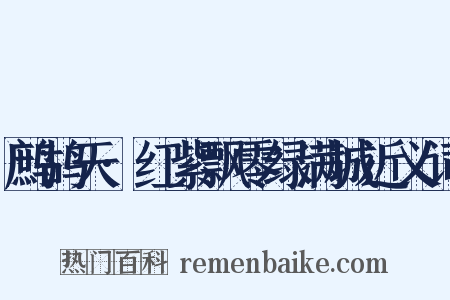 鹧鸪天·红紫飘零绿满城近义词是什么意思的图片